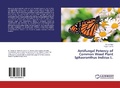 Cover: Antifungal Potency of Common Weed Plant Sphaeranthus Indicus L. - LAP Lambert Academic Publishing