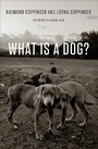 Cover: What Is a Dog? - University of Chicago Press