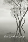 Cover: The Bad Secret - LAPA Publishers