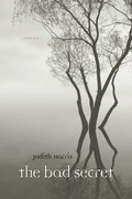 Cover: The Bad Secret - LAPA Publishers