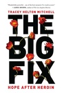 Cover: The Big Fix - Basic Books