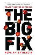 Cover: The Big Fix - Basic Books
