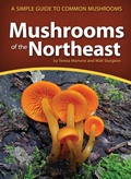 Cover: Mushrooms of the Northeast - Adventure Publications