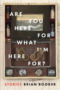Enlarge image Cover: Are You Here For What I'm Here For? - Bellevue Literary Press