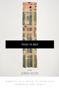 Cover: Trouble the Water - BOA Editions Ltd.