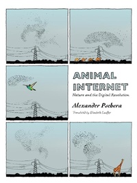 Enlarge image Cover: Animal Internet - New Vessel Press