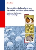 Bild: Ganzheitliche Behandlung von Kaninchen und Meerschweinchen - Sonntag