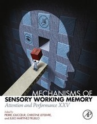 Abbildung von: Mechanisms of Sensory Working Memory - Elsevier