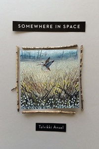 Enlarge image Cover: Somewhere in Space - Ohio State University Press