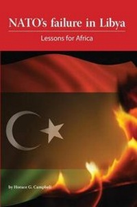 Abbildung von: NATO's Failure in Libya - Africa Institute of South Africa