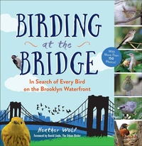 Enlarge image Cover: Birding at the Bridge - The Experiment