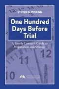Abbildung von: One Hundred Days Before Trial - American Bar Association