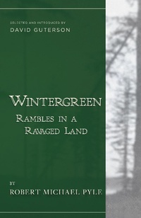 Enlarge image Cover: Wintergreen - Counterpoint