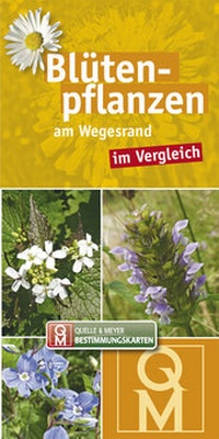 Abbildung von: Blütenpflanzen am Wegesrand - Quelle & Meyer