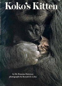 Enlarge image Cover: Koko's Kitten - Turtleback Books
