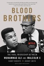 Cover: Blood Brothers - Basic Books