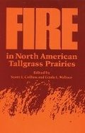 Cover: Fire in North American Tallgrass Prairies - University of Oklahoma Press