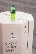 Cover: An Alternate Reality Where Mello Yello Is More Popular Than Mtn Dew - fog machine