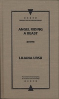 Cover: Angel Riding a Beast - Northwestern University Press