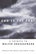 Cover: God in the Fray - Augsburg Fortress