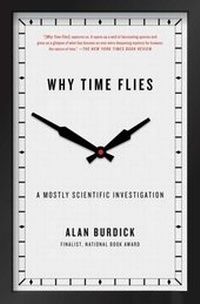 Abbildung von: Why Time Flies - Simon + Schuster LLC