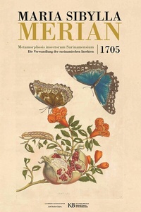 Abbildung von: Metamorphosis insectorum Surinamensium - Lambert Schneider in Herder