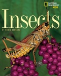 Cover: Insects - National Geographic Kids