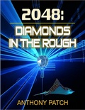 Cover: 2048: Diamonds In the Rough - Lulu.com