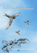 Cover: Segler am Sommerhimmel - BoD - Books on Demand