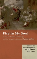 Cover: Fire in My Soul - Wipf & Stock Publishers
