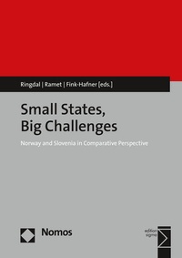 Enlarge image Cover: Small States, Big Challenges - Nomos