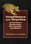 Cover: Amphibians and Reptiles of Northern Guatemala, the Yucatan, and Belize - University of Oklahoma Press