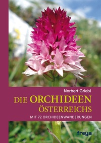 Abbildung von: Die Orchideen Österreichs - Freya