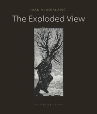 Abbildung von: The Exploded View - New York Review Books