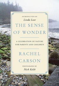 Enlarge image Cover: The Sense of Wonder - HarperPerennial