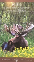 Cover: Wildlife of Grand Teton National Park - Grand Teton Association