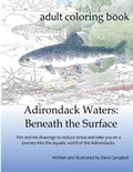 Cover: Adirondack Waters - Dave Campbell