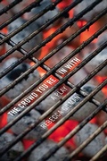 Cover: The Crowd You're in with - Northwestern University Press