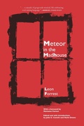 Cover: Meteor in the Madhouse - Northwestern University Press