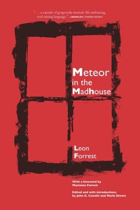 Enlarge image Cover: Meteor in the Madhouse - Northwestern University Press