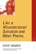 Cover: Like a Misunderstood Salvation and Other Poems - Northwestern University Press