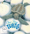 Cover: One Tiny Turtle Pbk With Cd - Walker Books Ltd