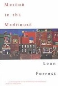 Cover: Meteor in the Madhouse - Northwestern University Press