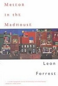 Enlarge image Cover: Meteor in the Madhouse - Northwestern University Press
