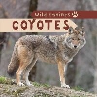 Enlarge image Cover: Coyotes - PowerKids Press