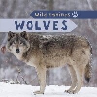 Enlarge image Cover: Wolves - PowerKids Press