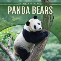 Enlarge image Cover: Panda Bears - PowerKids Press