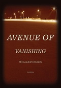 Cover: Avenue of Vanishing - Northwestern University Press