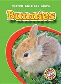 Cover: Bunnies - Blastoff! Readers