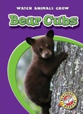 Cover: Bear Cubs - Blastoff! Readers